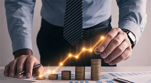 Financial & Tax advisor